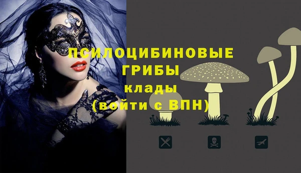 дмт Богородск