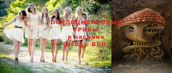 гидра Бронницы