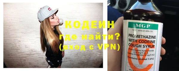 индика Бородино