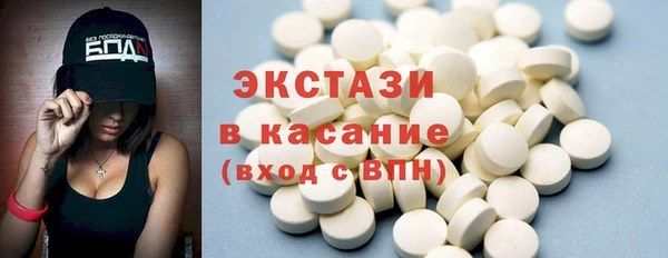 индика Бородино