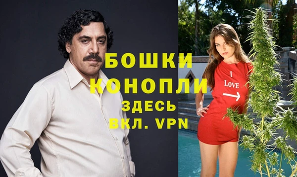 дмт Богородск