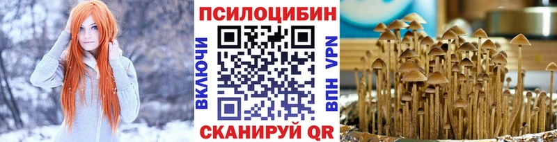 купить  сайты  Кандалакша  Галлюциногенные грибы мухоморы 